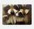 S0977 Baby Raccoons Hülle Schutzhülle Taschen für MacBook Air 15″ (2023,2024,2025) - A2941, A3114, A3241
