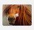 S1595 Beautiful Brown Horse Hülle Schutzhülle Taschen für MacBook Air 15″ (2023,2024,2025) - A2941, A3114, A3241
