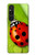 S0892 Ladybug Hülle Schutzhülle Taschen für Sony Xperia 1 V