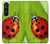 S0892 Ladybug Hülle Schutzhülle Taschen für Sony Xperia 1 V