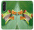S1047 Little Frog Hülle Schutzhülle Taschen für Sony Xperia 1 V