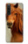 S1595 Beautiful Brown Horse Hülle Schutzhülle Taschen für Sony Xperia 10 V