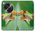 S1047 Little Frog Hülle Schutzhülle Taschen für OnePlus OPEN