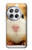 S1619 Cute Guinea Pig Hülle Schutzhülle Taschen für OnePlus 12