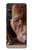 S0519 PitBull Face Hülle Schutzhülle Taschen für Sony Xperia 1 VI