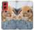 S0242 Cute Rabbit Hülle Schutzhülle Taschen für Motorola Moto G Stylus 5G (2024)