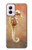 S2674 Seahorse Skeleton Fossil Hülle Schutzhülle Taschen für Motorola Moto G Power 5G (2024)