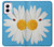S3043 Vintage Daisy Lady Bug Hülle Schutzhülle Taschen für Motorola Moto G Power 5G (2024)