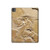 S0380 Dinosaur Fossil Hülle Schutzhülle Taschen für iPad Pro 13 (2024,2025), Air 13 2026