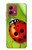 S0892 Ladybug Hülle Schutzhülle Taschen für Motorola Moto G84