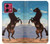 S0934 Wild Black Horse Hülle Schutzhülle Taschen für Motorola Moto G84