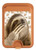 S3559 Sloth Pattern Magnetic Card Holder Wallet Stand with MagSafe for iPhone 16 15 14 13 Pro Max S3559 Sloth Pattern Magnetic Card Holder Wallet Stand with MagSafe for iPhone 16 15 14 13 Pro Max
