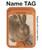 S3781 Albrecht Durer Young Hare Magnetic Card Holder Wallet Stand with MagSafe for iPhone 16 15 14 13 Pro Max