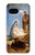 S2276 The Nativity Hülle Schutzhülle Taschen für Google Pixel 9a