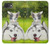 S3795 Kitten Cat Playful Siberian Husky Dog Paint Hülle Schutzhülle Taschen für iPhone 16e