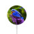 S1565 Bluebird of Happiness Blue Bird Magnetisches kabelloses Ladepad mit MagSafe 15W für iPhone 16 15 14 13 12