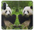 S1073 Panda Enjoy Eating Hülle Schutzhülle Taschen für Samsung Galaxy A36