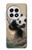 S2210 Panda Fluffy Art Painting Hülle Schutzhülle Taschen für OnePlus 13