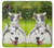 S3795 Kitten Cat Playful Siberian Husky Dog Paint Hülle Schutzhülle Taschen für Samsung Galaxy XCover7