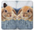 S0242 Cute Rabbit Hülle Schutzhülle Taschen für Samsung Galaxy XCover7 Pro
