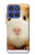 S1619 Cute Guinea Pig Hülle Schutzhülle Taschen für Motorola Moto G Stylus 5G (2025), Edge 60 Stylus