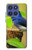 S3839 Bluebird of Happiness Blue Bird Hülle Schutzhülle Taschen für Motorola Moto G Stylus 5G (2025,2026), Edge 60 Stylus