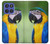 S3888 Macaw Face Bird Hülle Schutzhülle Taschen für Motorola Moto G Stylus 5G (2025,2026), Edge 60 Stylus