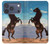 S0934 Wild Black Horse Hülle Schutzhülle Taschen für iPhone 17 Pro