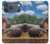 S4031 Baby Hippo Hippopotamus Family Hülle Schutzhülle Taschen für iPhone 17 Pro Max