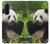 S1073 Panda Enjoy Eating Hülle Schutzhülle Taschen für Samsung Galaxy A17