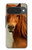 S1595 Beautiful Brown Horse Hülle Schutzhülle Taschen für Google Pixel 10, 10 Pro