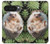 S3863 Pygmy Hedgehog Dwarf Hedgehog Paint Hülle Schutzhülle Taschen für Google Pixel 10 Pro XL