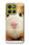 S1619 Cute Guinea Pig Hülle Schutzhülle Taschen für Motorola Moto G86 S1619 Cute Guinea Pig Hülle Schutzhülle Taschen für Motorola Moto G86