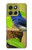 S3839 Bluebird of Happiness Blue Bird Hülle Schutzhülle Taschen für Motorola Moto G86