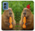 S4068 Capybara Butterfly Hülle Schutzhülle Taschen für Motorola Moto G Play 4G (2024)