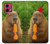 S4068 Capybara Butterfly Hülle Schutzhülle Taschen für Motorola Moto G84