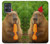 S4068 Capybara Butterfly Hülle Schutzhülle Taschen für Motorola Moto G54