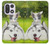 S3795 Kitten Cat Playful Siberian Husky Dog Paint Hülle Schutzhülle Taschen für OnePlus 15