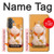 S1217 Maneki Neko Lucky Cat Hülle Schutzhülle Taschen für Samsung Galaxy A37
