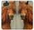 S1595 Beautiful Brown Horse Hülle Schutzhülle Taschen für Google Pixel 10a