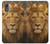 S4093 Royal Lion Portrait Artwork Hülle Schutzhülle Taschen für Samsung Galaxy XCover7