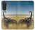 S0150 Desert Scorpion Hülle Schutzhülle Taschen für Samsung Galaxy A27
