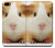 S1619 Cute Guinea Pig Hülle Schutzhülle Taschen für iPhone 5 5S SE