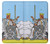 S3068 Tarot Card Queen of Swords Hülle Schutzhülle Taschen für iPhone 6 Plus, 6S Plus