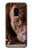 S0519 PitBull Face Hülle Schutzhülle Taschen für Samsung Galaxy S9