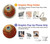 S0512 Peacock Grafik Ringhalter und PopSockets S0512 Peacock Grafik Ringhalter und PopSockets