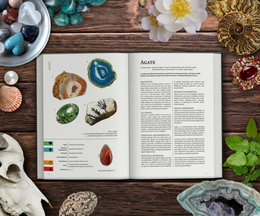 Discover a World of Science, Myth, & Magic in Geologist's Primer!