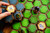 Heroscape: Glyph Pack 3D