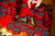 Heroscape: Molten Crustaceans & Tanuki Tricksters Army Expansion