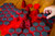 Heroscape: The Lava Fields of Valhalla Terrain Expansion